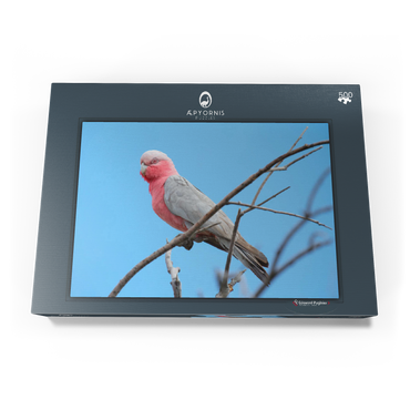 Darstellung des Puzzle Motivs Galah 500 Puzzle Schachtel Ansicht3