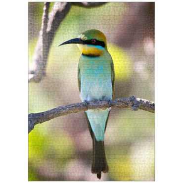 Darstellung des Puzzle Motivs puzzleplate Rainbow Bee-eater 1000 Puzzle