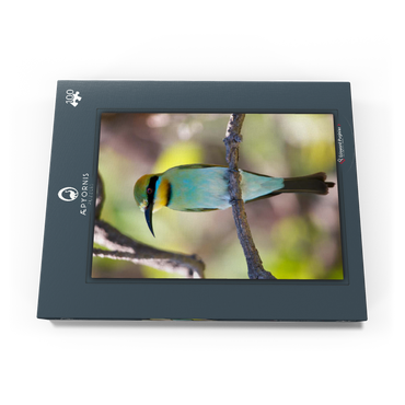 Darstellung des Puzzle Motivs Rainbow Bee-eater 100 Puzzle Schachtel Ansicht3