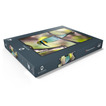 Darstellung des Puzzle Motivs Rainbow Bee-eater 200 Puzzle Schachtel Ansicht1