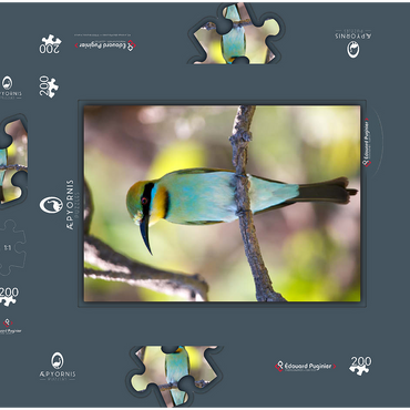 Darstellung des Puzzle Motivs Rainbow Bee-eater 200 Puzzle Schachtel 3D Modell