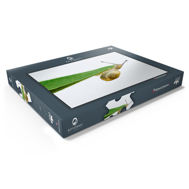 Darstellung des Puzzle Motivs Gym! 100 Puzzle Schachtel Ansicht1