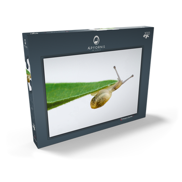 Darstellung des Puzzle Motivs Gym! 100 Puzzle Schachtel Ansicht2