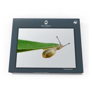 Darstellung des Puzzle Motivs Gym! 100 Puzzle Schachtel Ansicht3