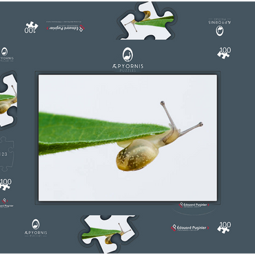 Darstellung des Puzzle Motivs Gym! 100 Puzzle Schachtel 3D Modell