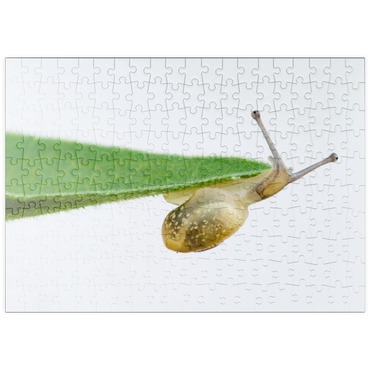 Darstellung des Puzzle Motivs puzzleplate Gym! 200 Puzzle