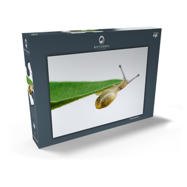 Darstellung des Puzzle Motivs Gym! 500 Puzzle Schachtel Ansicht2