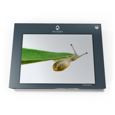 Darstellung des Puzzle Motivs Gym! 500 Puzzle Schachtel Ansicht3