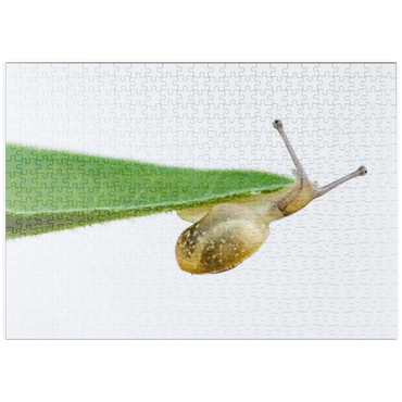 Darstellung des Puzzle Motivs puzzleplate Gym! 500 Puzzle