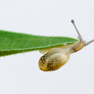 Darstellung des Puzzle Motivs Gym! 500 Puzzle 3D Modell