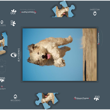 Darstellung des Puzzle Motivs Still “running”? 100 Puzzle Schachtel 3D Modell