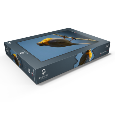 Darstellung des Puzzle Motivs European Robin 500 Puzzle Schachtel Ansicht1