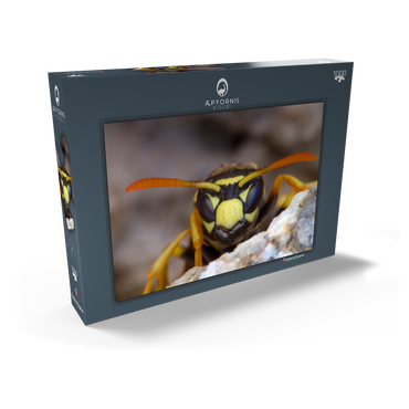 Darstellung des Puzzle Motivs European paper wasp 1000 Puzzle Schachtel Ansicht2