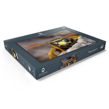 Darstellung des Puzzle Motivs European paper wasp 100 Puzzle Schachtel Ansicht1