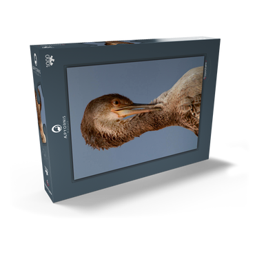 Darstellung des Puzzle Motivs European Shag 1000 Puzzle Schachtel Ansicht2