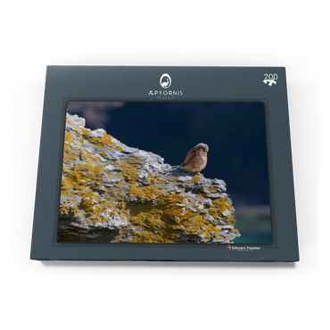 Darstellung des Puzzle Motivs Common kestrel 200 Puzzle Schachtel Ansicht3