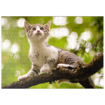 Darstellung des Puzzle Motivs puzzleplate Minka klettert 500 Puzzle