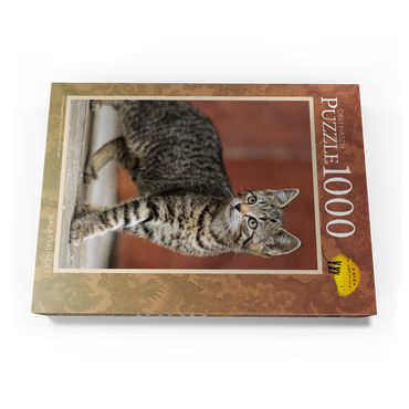 Darstellung des Puzzle Motivs Nala erkundet 1000 Puzzle Schachtel Ansicht3