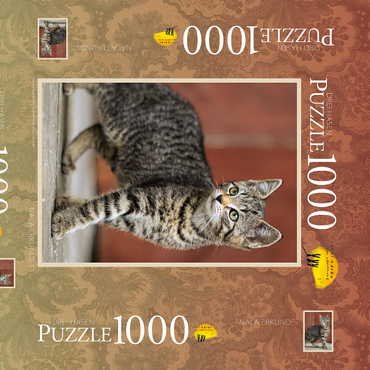 Darstellung des Puzzle Motivs Nala erkundet 1000 Puzzle Schachtel 3D Modell