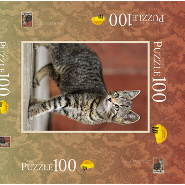 Darstellung des Puzzle Motivs Nala erkundet 100 Puzzle Schachtel 3D Modell