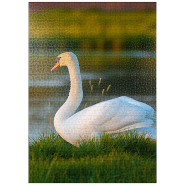 Darstellung des Puzzle Motivs puzzleplate Schwan am See 1000 Puzzle