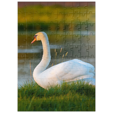 Darstellung des Puzzle Motivs puzzleplate Schwan am See 100 Puzzle