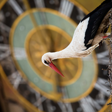 Darstellung des Puzzle Motivs Storchenzeit 1000 Puzzle 3D Modell