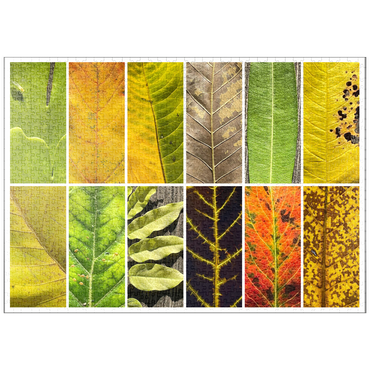 Darstellung des Puzzle Motivs puzzleplate Autumn Leaves 1 1000 Puzzle