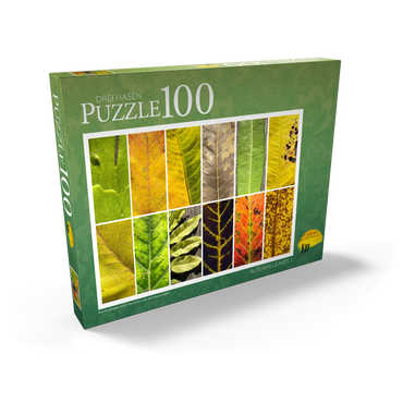 Darstellung des Puzzle Motivs Autumn Leaves 1 100 Puzzle Schachtel Ansicht2