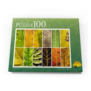 Darstellung des Puzzle Motivs Autumn Leaves 1 100 Puzzle Schachtel Ansicht3