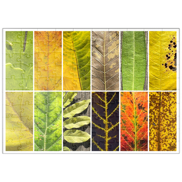 Darstellung des Puzzle Motivs puzzleplate Autumn Leaves 1 100 Puzzle