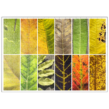 Darstellung des Puzzle Motivs puzzleplate Autumn Leaves 1 200 Puzzle
