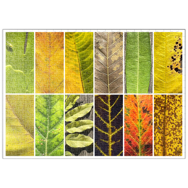 Darstellung des Puzzle Motivs puzzleplate Autumn Leaves 1 500 Puzzle