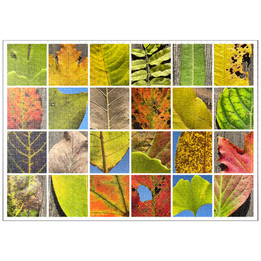 Darstellung des Puzzle Motivs puzzleplate Autumn Leaves 2 1000 Puzzle