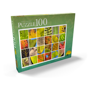 Darstellung des Puzzle Motivs Autumn Leaves 2 100 Puzzle Schachtel Ansicht2