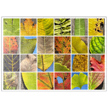 Darstellung des Puzzle Motivs puzzleplate Autumn Leaves 2 100 Puzzle