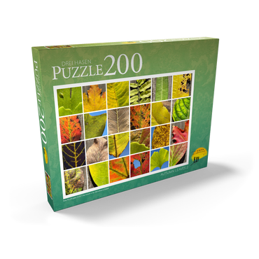 Darstellung des Puzzle Motivs Autumn Leaves 2 200 Puzzle Schachtel Ansicht2