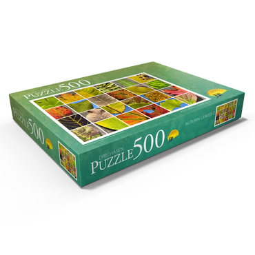 Darstellung des Puzzle Motivs Autumn Leaves 2 500 Puzzle Schachtel Ansicht1
