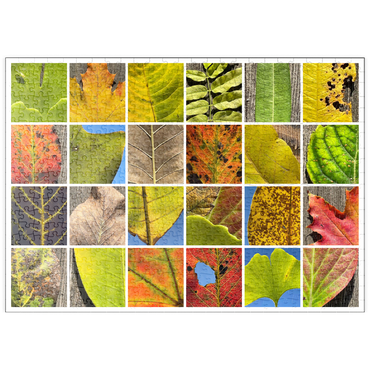 Darstellung des Puzzle Motivs puzzleplate Autumn Leaves 2 500 Puzzle