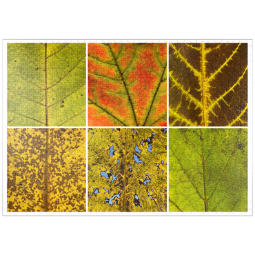 Darstellung des Puzzle Motivs puzzleplate Autumn Leaves 3 1000 Puzzle