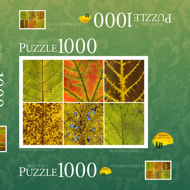 Darstellung des Puzzle Motivs Autumn Leaves 3 1000 Puzzle Schachtel 3D Modell