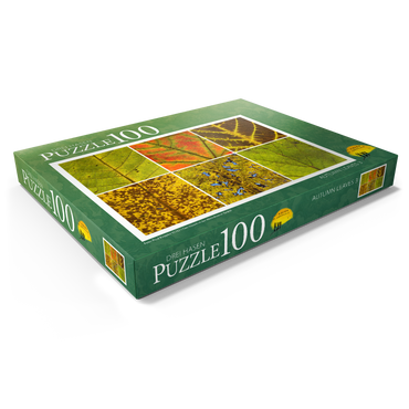 Darstellung des Puzzle Motivs Autumn Leaves 3 100 Puzzle Schachtel Ansicht1