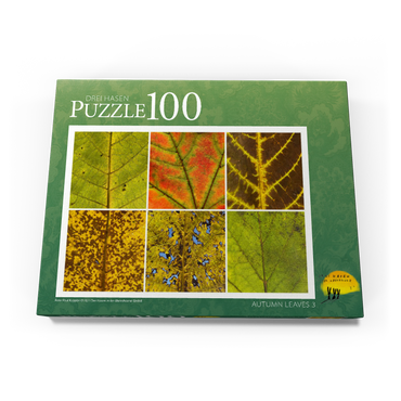 Darstellung des Puzzle Motivs Autumn Leaves 3 100 Puzzle Schachtel Ansicht3