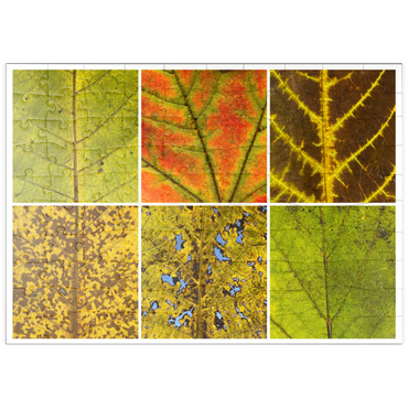 Darstellung des Puzzle Motivs puzzleplate Autumn Leaves 3 100 Puzzle