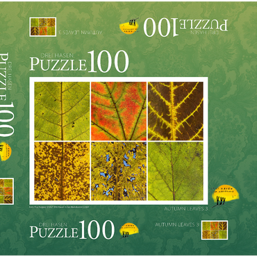 Darstellung des Puzzle Motivs Autumn Leaves 3 100 Puzzle Schachtel 3D Modell