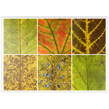 Darstellung des Puzzle Motivs puzzleplate Autumn Leaves 3 200 Puzzle