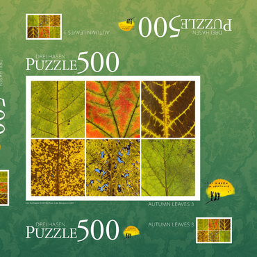Darstellung des Puzzle Motivs Autumn Leaves 3 500 Puzzle Schachtel 3D Modell