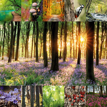 Darstellung des Puzzle Motivs Waldbaden - Collage No. 1 100 Puzzle 3D Modell