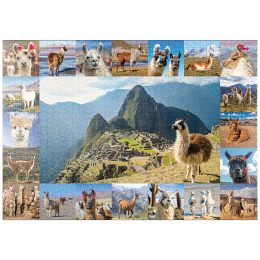 Darstellung des Puzzle Motivs puzzleplate Lamas und Alpakas - Collage No. 1 1000 Puzzle