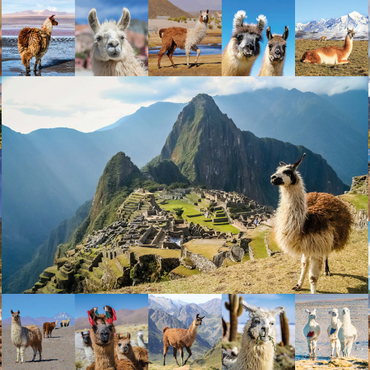 Darstellung des Puzzle Motivs Lamas und Alpakas - Collage No. 1 1000 Puzzle 3D Modell